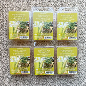 6 x Scentsationals Wax Melts Cubes for Warmer (Honeysuckle  Pineapple)